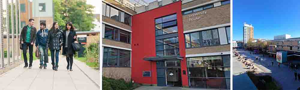 Rankings and Recognitions of the University